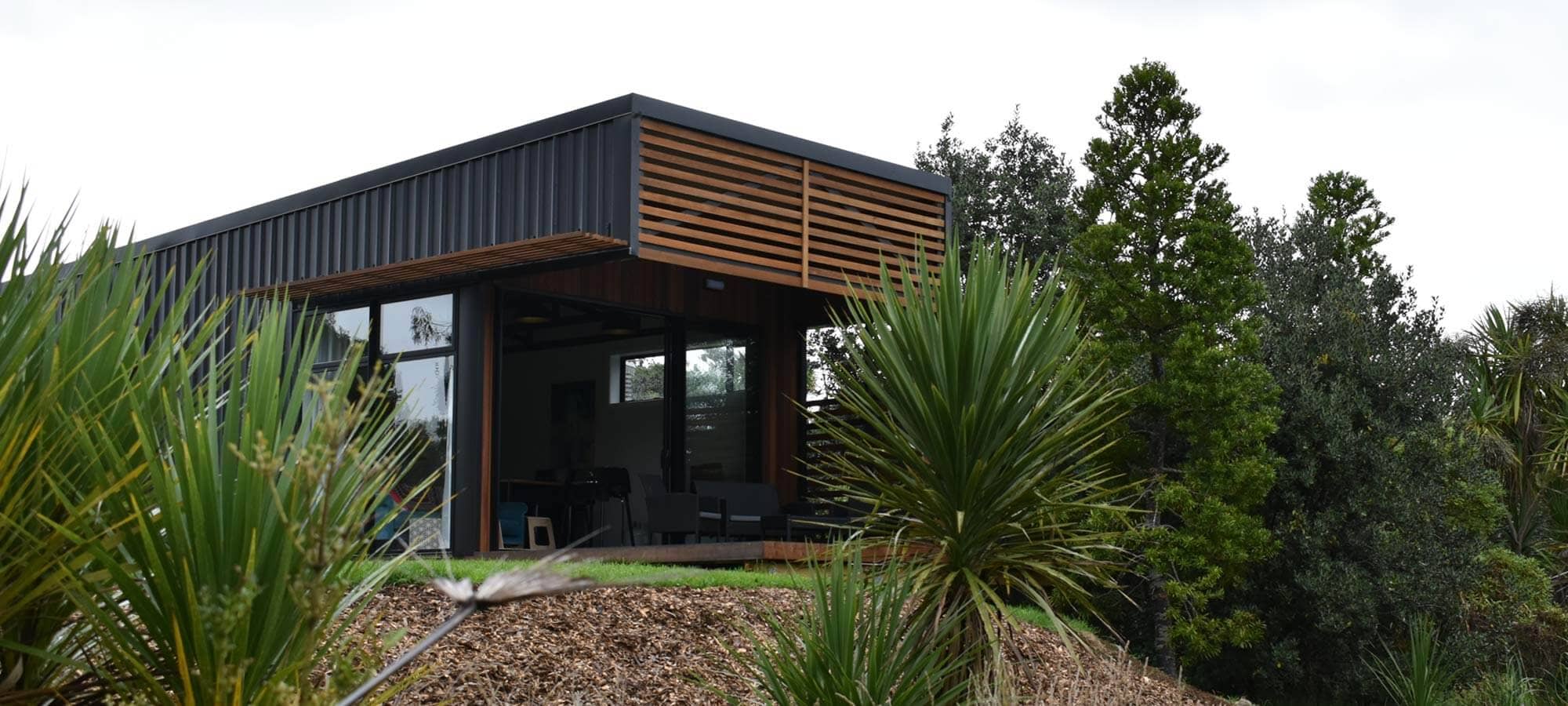 Kauri Tree Front view